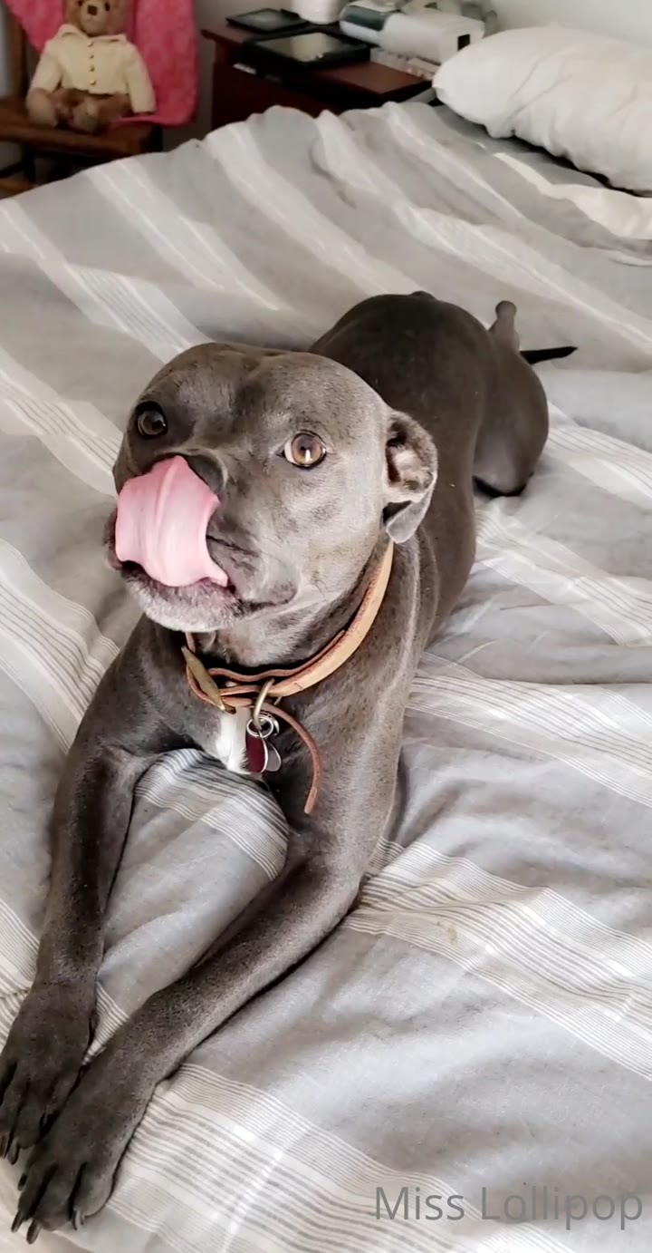 Epic desired Lacey Royce l e a k e d