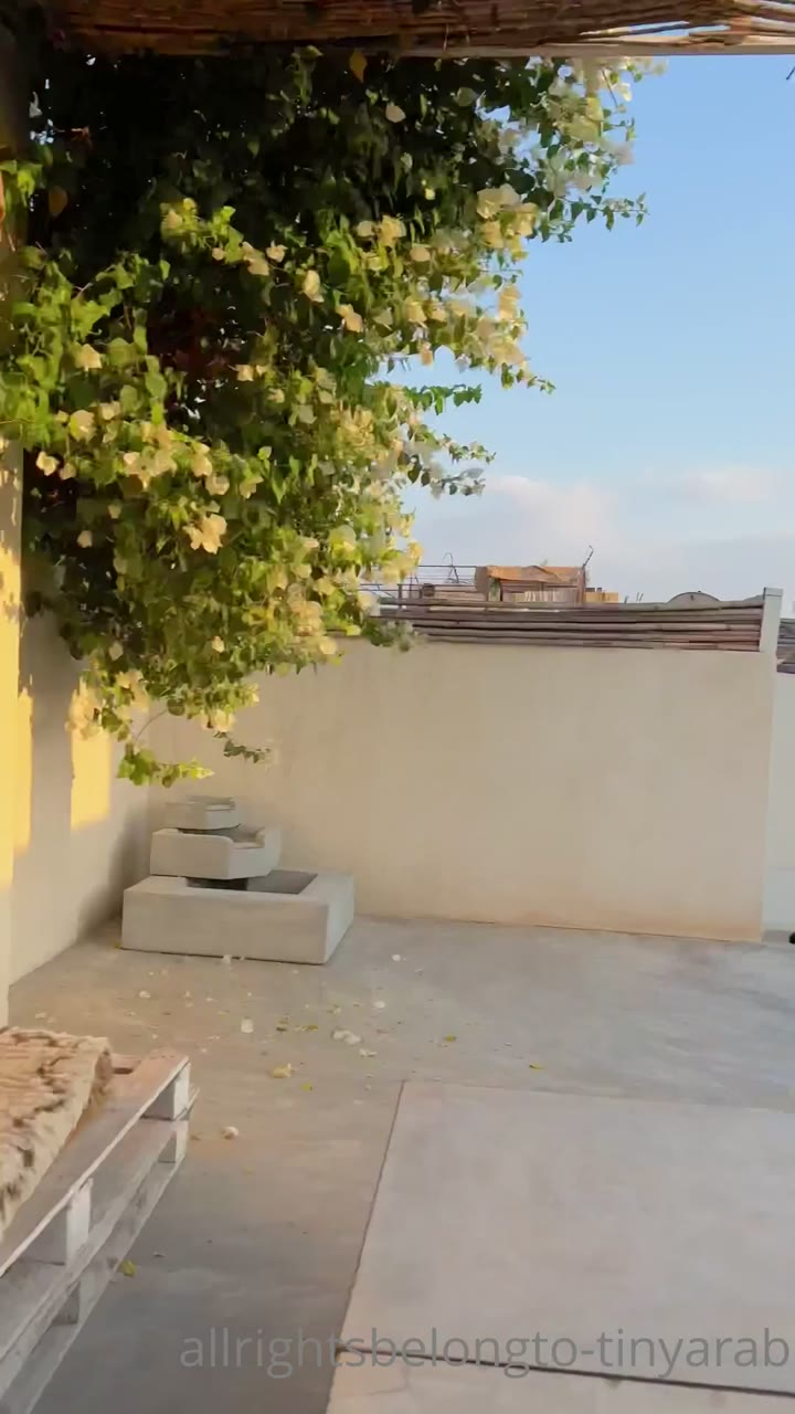 TinyArab camgirl