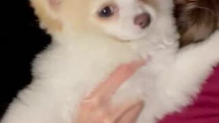 Vina Sky Sex Tape