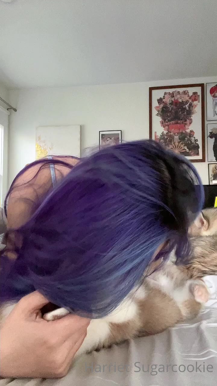 Harriet Sugarcookie OnlyFans Leaks Exposed
